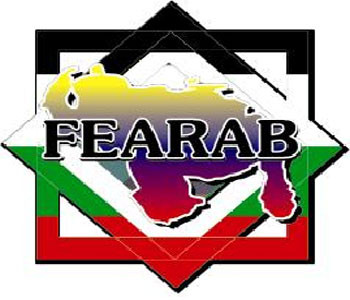 FEDERACI&OacuteN DE ENTIDADES VENEZOLANO – ARABES.