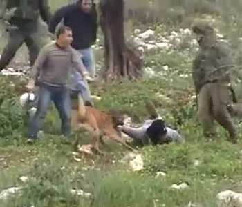 Fuerzas israel&iacutees atacan con violencia a manifestantes palestinos