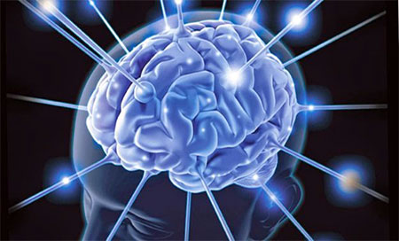 Descubren que la hipotermia protege el cerebro