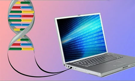 Almacenar datos digitales en un bloque de ADN