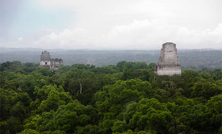 Posible descubrimiento de una ciudad maya ubicada en selva de Yucatán