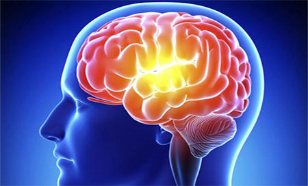 Reducen el daño cerebral del alzhéimer con un nuevo compuesto