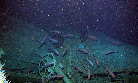 Encuentran un submarino australiano hundido hace más de un siglo