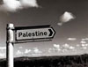 Cientos de europeos impedidos de viajar a Palestina