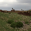 Los enemigos israelíes realizan obras en la orilla del río liban&eacute;s &ldquo;Wazzani&rdquo;
