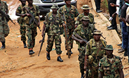Ofensiva del Ej&eacute;rcito en Nigeria