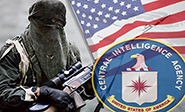 ¿A dónde van los terroristas?