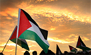 Cuestión palestina a debate en Consejo de Seguridad de ONU