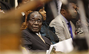 Zimbabue pone en marcha un nuevo programa agrícola