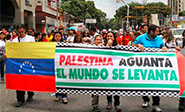Am&eacute;rica Latina continúa su campaña a favor de palestina