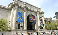 El Solitario George ya se exhibe en Nueva York