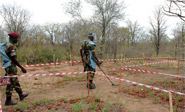 Declaran región sur de Mozambique libre de minas terrestres