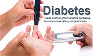 Una bacteria intestinal que podría curar la diabetes