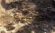 Hallada una fosa común en Sinyar al noreste de Iraq