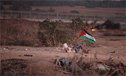 Cinco palestinos martirizados en la jornada de Ira Palestina
