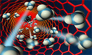 Nanosensores capaces de formarse en c&eacute;lulas vivientes