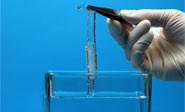 Crean un superadhesivo hecho pr&aacute;cticamente de agua