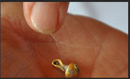 Encuentran en Bulgaria una joya de oro de hace 6600 a&ntilde;os