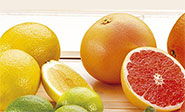 Descubren que naranjas y limones previenen enfermedades cr&oacute;nicas