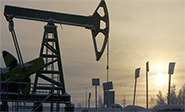 Colapso en el mercado de petr&oacute;leo