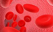 Desarrollan c&eacute;lulas madre de la sangre en laboratorio
