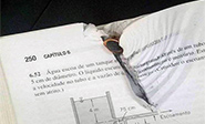 El libro que salv&oacute; la vida de un estudiante brasile&ntilde;o 