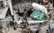 Soldados turcos y terroristas saquean la ciudad de Afrin