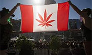 Senado de Canad&aacute; aprueba legalizaci&oacute;n de marihuana