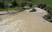 Un plan para salvar el r&iacute;o m&aacute;s largo de L&iacute;bano