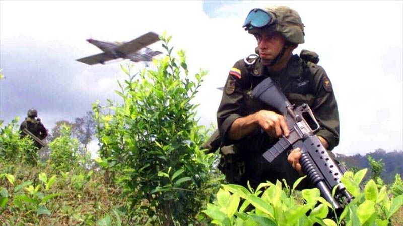 Colombia y EEUU, primeros en producci&oacute;n y consumo de coca&iacute;na, seg&uacute;n la ONU