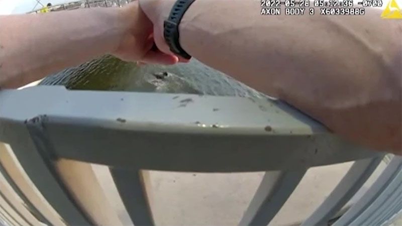 Polic&iacute;as de EEUU se niegan a salvar a un joven negro mientras estaba ahog&aacute;ndose