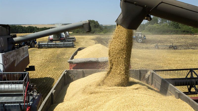 Rusia aumenta un 25% los suministros de alimentos a los pa&iacute;ses amigos