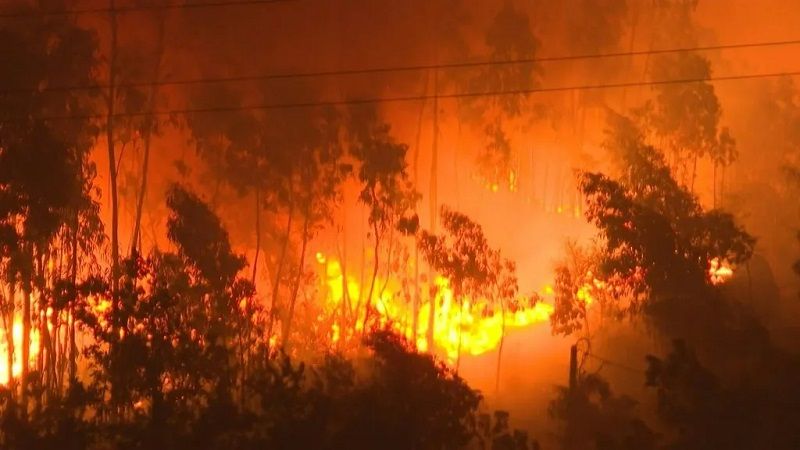 Muere un hombre por un incendio en el norte de Portugal