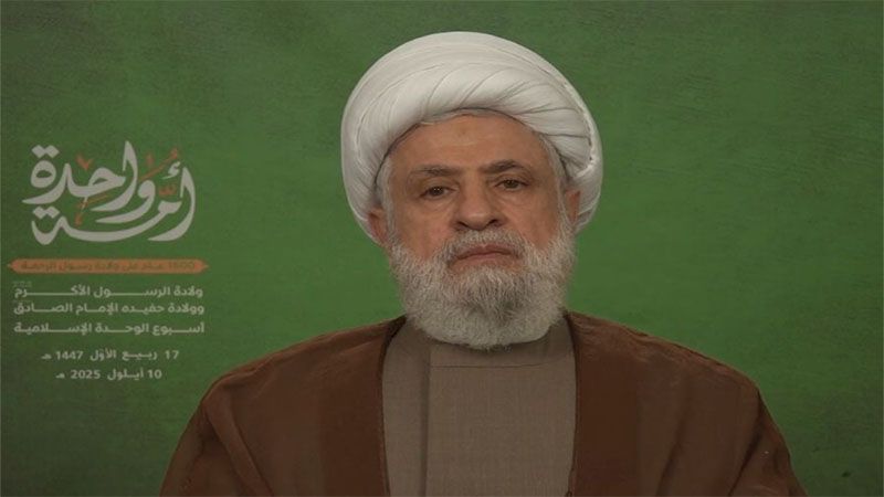 El l&iacute;der de Hezbol&aacute; pide a los pa&iacute;ses de la regi&oacute;n que apoyen la Resistencia