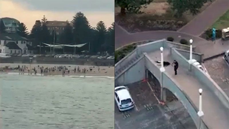 Australia vincula a Daesh con el atentado del domingo en S&iacute;dney