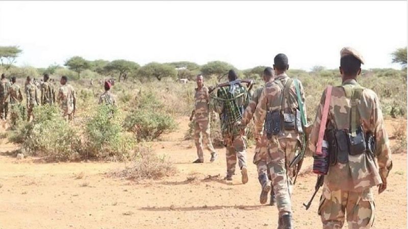 Somalia: Mueren quince terroristas de Al Shabaab en un ataque a&eacute;reo en el sur del pa&iacute;s